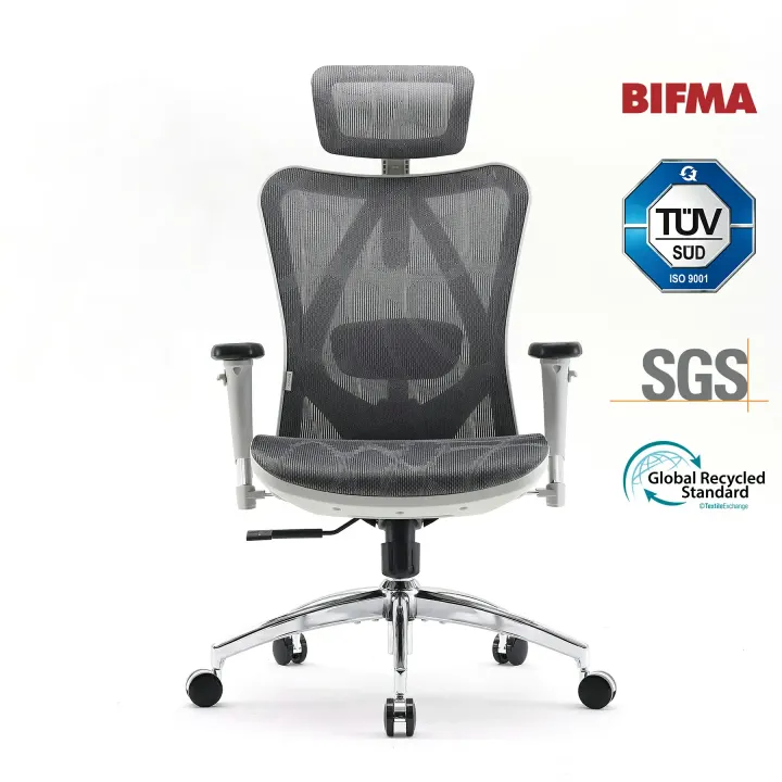Chaise de bureau ergonomique SIHOO M57 – Accoudoirs 3D, soutien lombaire, appuie-tête réglable – Gris