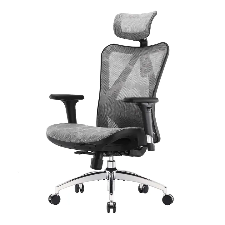 Chaise de bureau ergonomique SIHOO M57 – Accoudoirs 3D, soutien lombaire, appuie-tête réglable – Gris — photo 5
