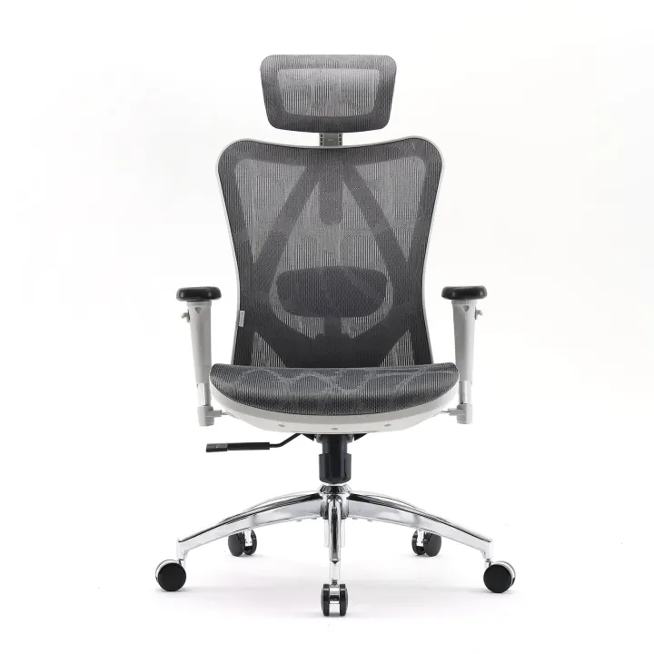 Chaise de bureau ergonomique SIHOO M57 – Accoudoirs 3D, soutien lombaire, appuie-tête réglable – Gris — photo 6