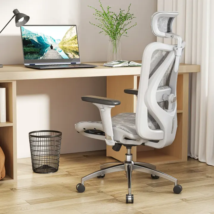 Chaise de bureau ergonomique SIHOO M57 – Accoudoirs 3D, soutien lombaire, appuie-tête réglable – Gris — photo 7