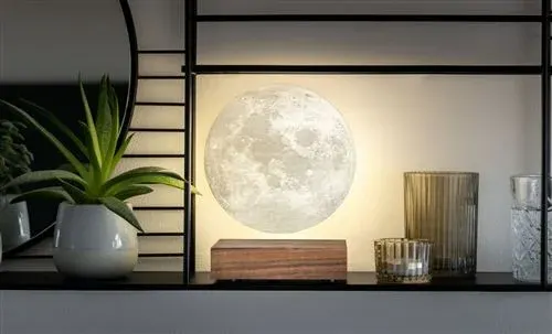 Lampe à poser Lune Gingko Noyer américain — photo 3