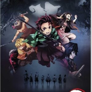 Poster Demon Slayer: Kimetsu no Yaiba – 61 x 91.5 cm (Papier Glossy)